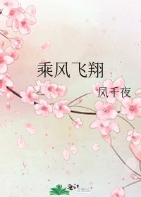 乘風飛翔