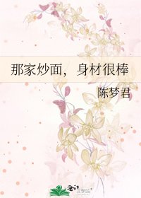 那家炒麵,身材很棒