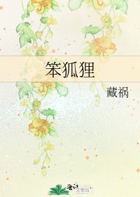 笨狐狸