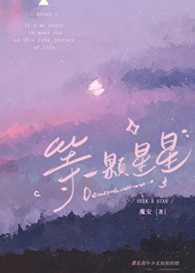 等一颗星星